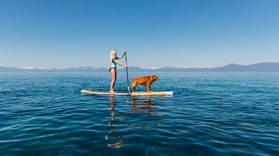 Pictures to Inspire: Stand-up Paddleboarding