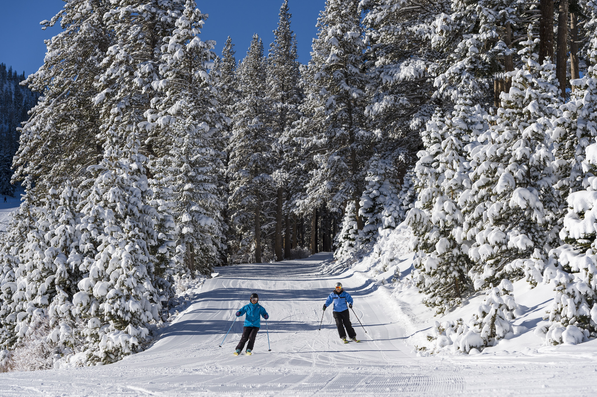 Unique Events and Features at Lake Tahoe Ski Resorts VisitRenoTahoe