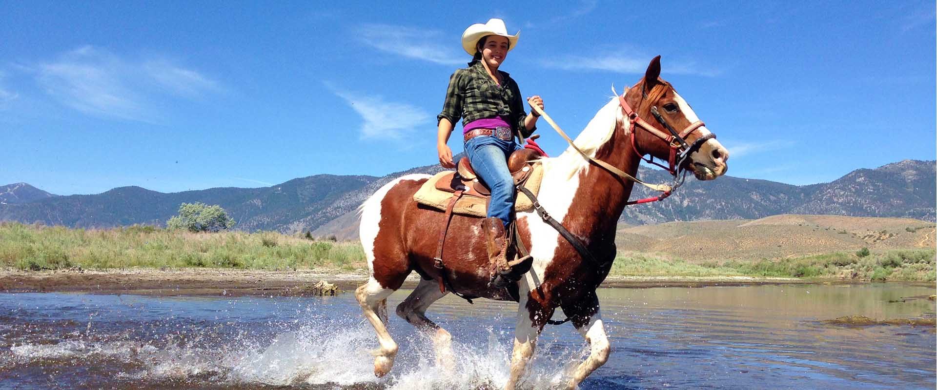 Smith Mountain Lake Horseback Riding Lesson