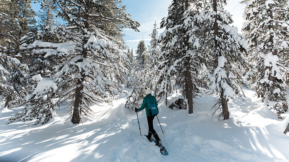 Your Guide to Snowshoeing Trails