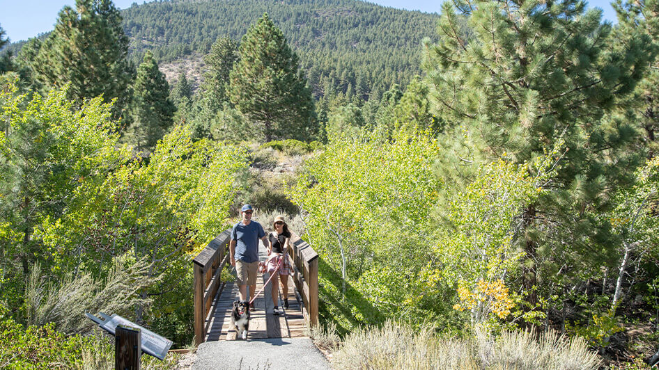 Dog-Friendly Trails and Parks in Reno Tahoe